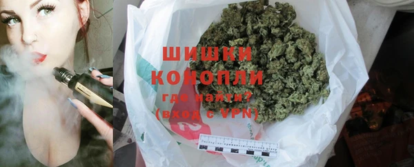 a pvp Ельня