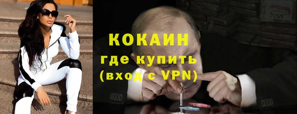 гашик Елизово
