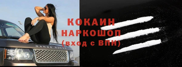 a pvp Ельня