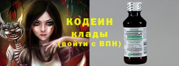 a pvp Ельня