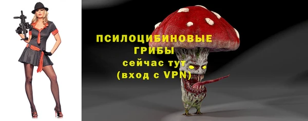 гашик Елизово