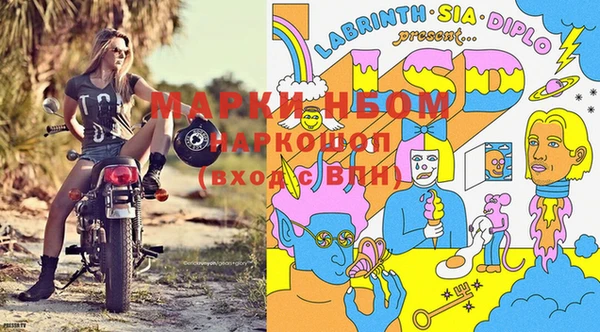 гашик Елизово