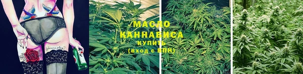 a pvp Ельня