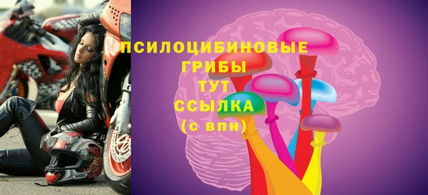 a pvp Ельня