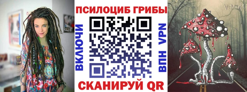 Галлюциногенные грибы GOLDEN TEACHER  Купить закладки  Ивангород 
